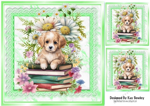 Cute Puppy With Books & Green Lace With Flowers/Daisies 8x8 (three)