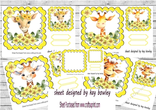 4 Funny Giraffes With Flowers 7x7 Mini Kit