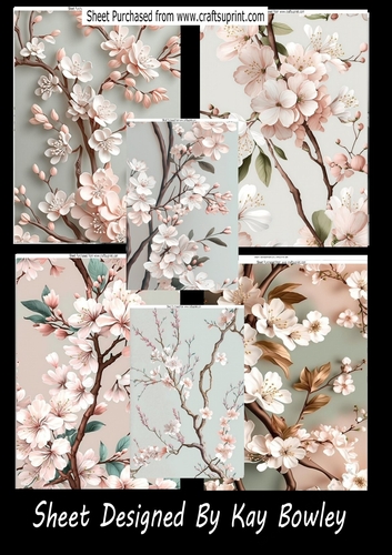 6 A4 Pink Cherry Blossoms Bumper Kit