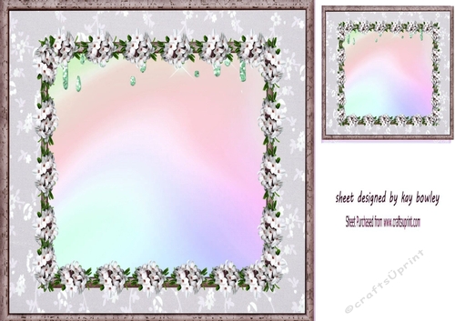  Baby Floral Frame With Topper/Insert 8x8