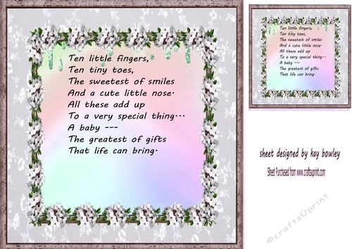 Baby Floral Frame With Topper/Insert With Verse 8x8