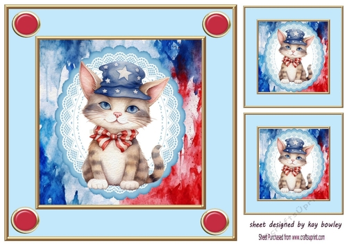 Independance Day July 4th Kitten dressed up 8x8 Card Front (two)