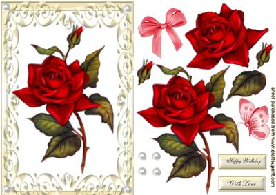 Beautiful Single Red Rose in Cream Ornate Frame