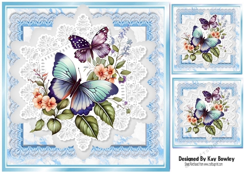 Beautiful Butterflies/Flowers On Blue Lace 8X8 Frames (one)