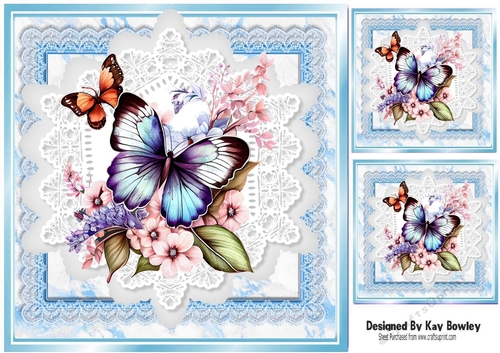 Beautiful Butterflies/Flowers On Blue Lace 8X8 Frames (Two)