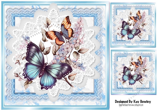 Beautiful Butterflies/Flowers On Blue Lace 8X8 Frames (Three)