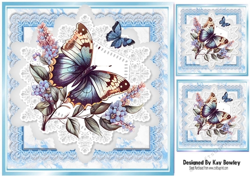 Beautiful Butterflies/Flowers On Blue Lace 8X8 Frames (Four)