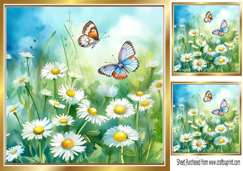 White Daisies And Butterflies 8x8 (one)