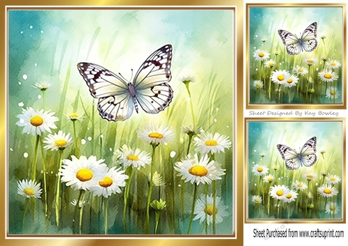White Daisies And Butterflies 8x8 (Two)