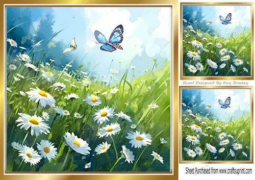 White Daisies And Butterflies 8x8 (Three)