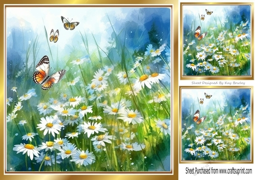 White Daisies And Butterflies 8x8 (Four)