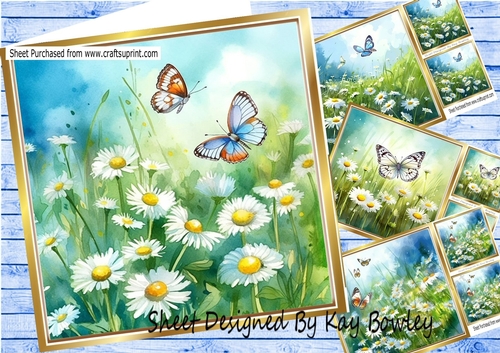  4 White Daisies And Butterflies 8x8 Card Fronts Mini Kit 
