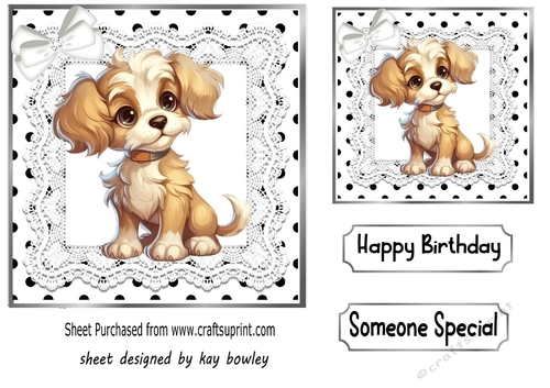 Cute Puppy in Black And White Polkadot With Lace/Bow (one)