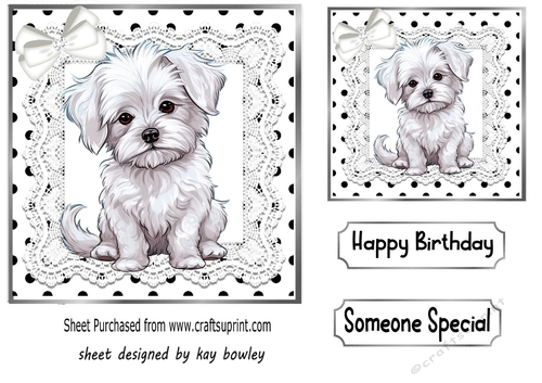 Cute Puppy in Black And White Polkadot With Lace/Bow (two)