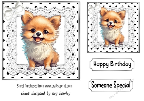 Cute Puppy in Black And White Polkadot With Lace/Bow (three)