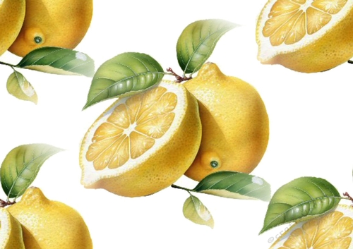 Lovely Citrus Lemons Backing Paper (Big)