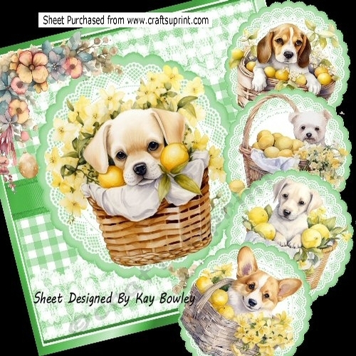 Cute Puppies In A Basket With Green Gingham & Flowers 8x8 Mini Kit
