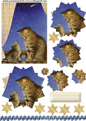 Little Kitten with Mum,star Pyramids