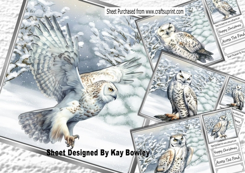 4 Lovely Snow Owls With  Trees 8x8  Cards