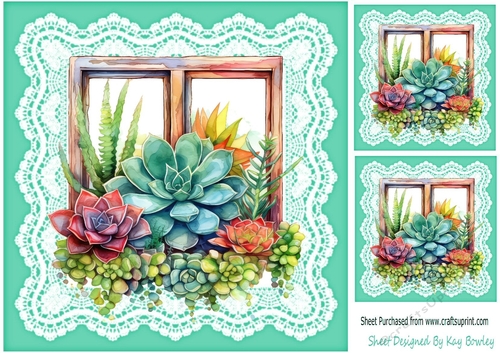 Pretty Coloured Succulents Window Frame On Lace 8x8 (Two)