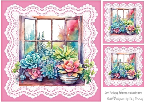 Pretty Coloured Succulents Window Frame On Lace 8x8 (Three)