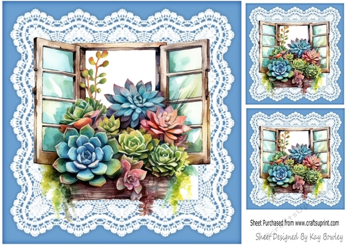 Pretty Coloured Succulents Window Frame On Lace 8x8 (Five)