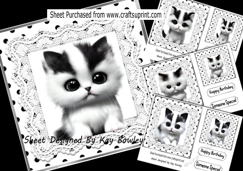 4 Cute Furry Friends Black & White Kittens On Lace 7x7 Mini Kit