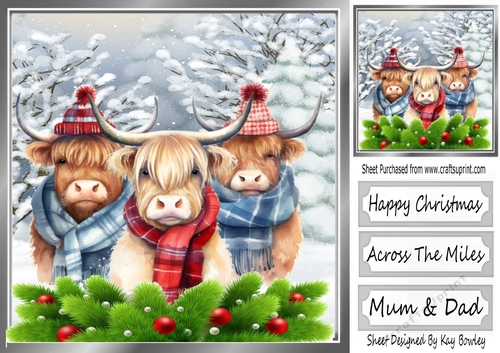 Highland Cows In The Winter With Holly 8x8 (one)