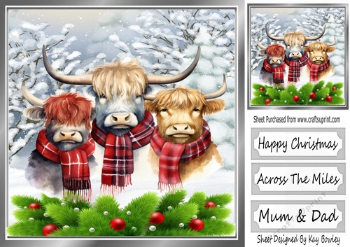 Highland Cows In The Winter With Holly 8x8 (Two)