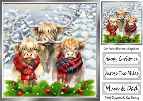 Highland Cows In The Winter With Holly 8x8 (Three)