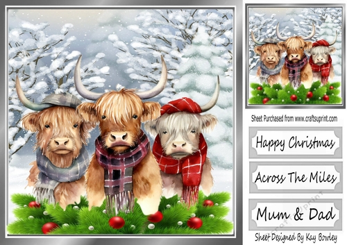 Highland Cows In The Winter With Holly 8x8 (Four)