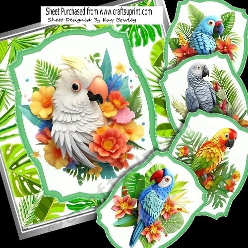 Tropical Leaves With 3D Coloured Parrots 8x8 Mini Kit