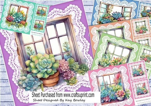 6 Pretty Windows Succulent Flowers On Lace Card Fronts 8x8 Mini Kit