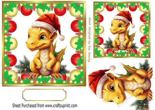 Cute Dragon In Santa Hat In Bauble Frame 7x7 (Four)
