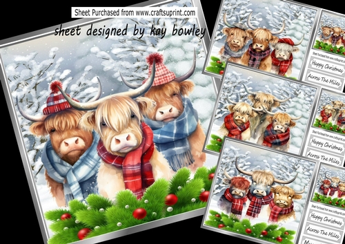 4 Lovely Highland Cows In Christmas Scarves 8x8 Mini Kit