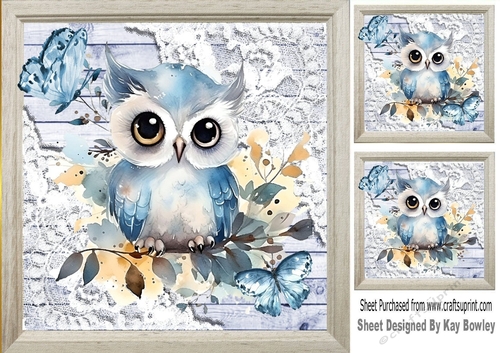 Pretty Wood, Lace With Owls Blue Butterflies 8x8 (Two)