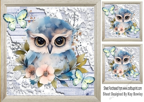 Pretty Wood, Lace With Owls Blue Butterflies 8x8 (Three)