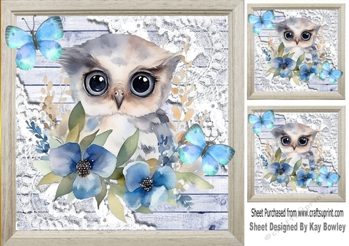 Pretty Wood, Lace With Owls Blue Butterflies 8x8 (Four)