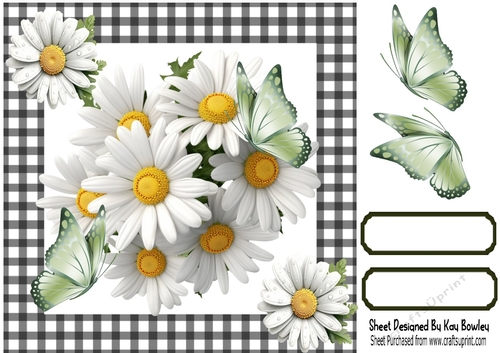 Pretty Daisies With Green Butterflies Black/White Gingham 8x8 (Two)