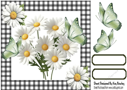 Pretty Daisies With Green Butterflies Black/White Gingham 8x8 (Three)