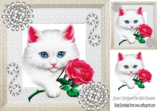 Cute White Fluffy Kitten With Red Rose/Diamonds 8x8