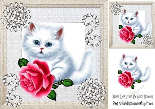 Cute White Fluffy Kitten With Red Rose/ Sparkle Diamonds 8x8