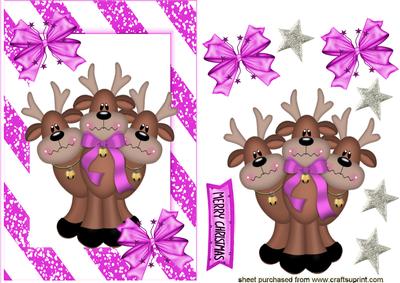 Santas Reindeers in Pink Frame