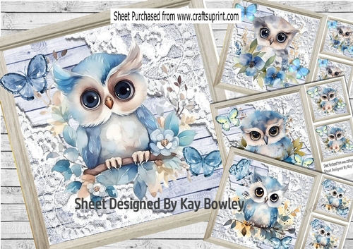  4 Pretty Wood, Lace With Owls Blue Butterflies 8x8 Mini Kit