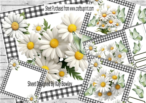 4 Pretty White Daisies Black Gingham/Butterflies 8x8 Mini Kit