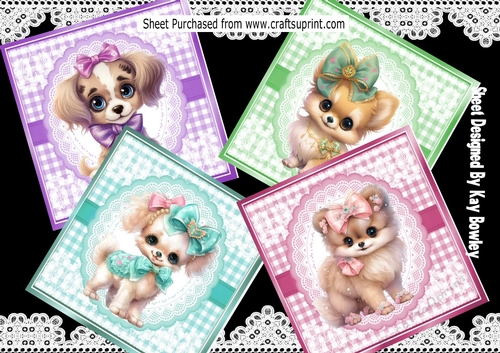 4 Cute Puppies On Coloured Gingham & Lace 8x8 Card Fronts