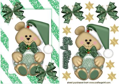 Cute Little Teddy in Green