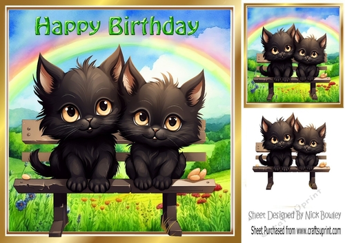 Lovely Baby Kittens With Rainbow 8x8 (Three)