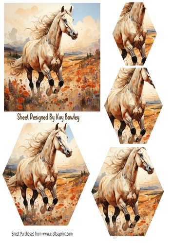 Freedom Beautiful Horse Hexagon Pyramid (Four)