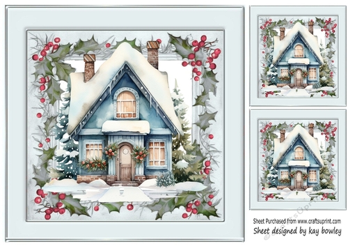 Winter Snow House in Holly & Berries Silver 8x8 Frame (Four)